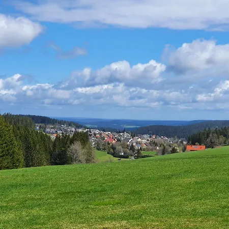 Apartment Ferienhaus-schoenwald Im Herzen Des Schwarzwaldes 2zimmer-wohnung Mit Dachterrasse Und Balkon App 25 *