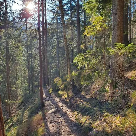 Ferienhaus-schoenwald Im Herzen Des Schwarzwaldes 2zimmer-wohnung Mit Dachterrasse Und Balkon App 25 Schoenwald im Schwarzwald