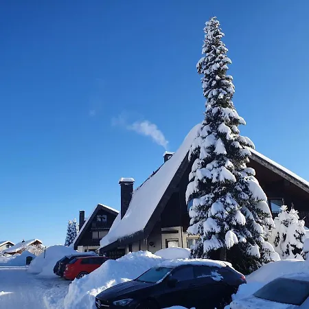 Ferienhaus-schoenwald Im Herzen Des Schwarzwaldes 2zimmer-wohnung Mit Dachterrasse Und Balkon App 25 * Schoenwald im Schwarzwald